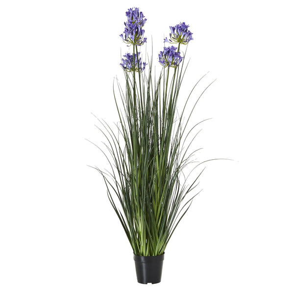 large blue artificial agapanthus in a black pot on white