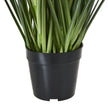 leaves rising from the black pot