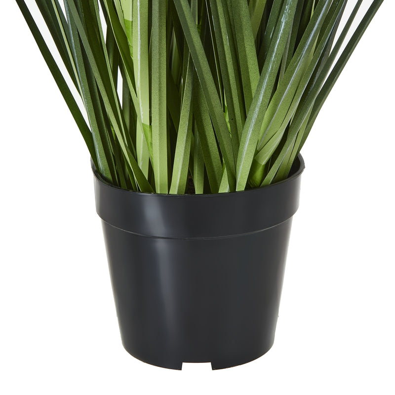 leaves rising from the black pot