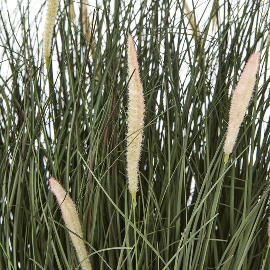 Large Artificial Fountain Grass in Black Pot – 81cm, close-up of feathery grass plumes