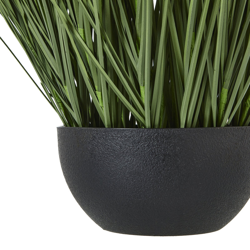 grass blades rising from the textured black pot