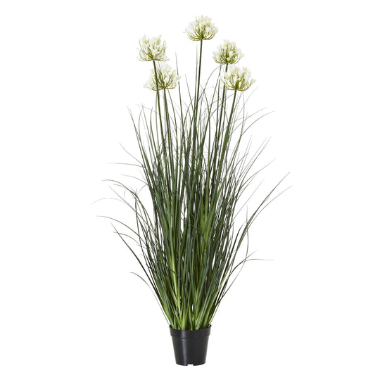 large white artificial agapanthus in a black pot on white