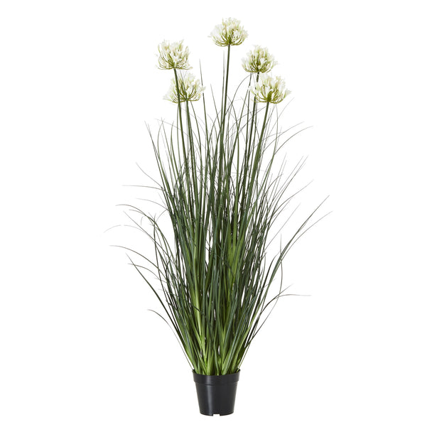 large white artificial agapanthus in a black pot on white