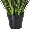 leaves rising from the black pot