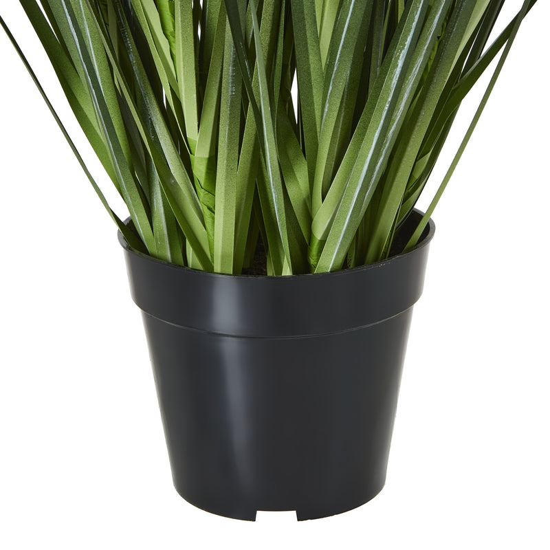 leaves rising from the black pot