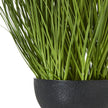 leaves rising from the textured black pot