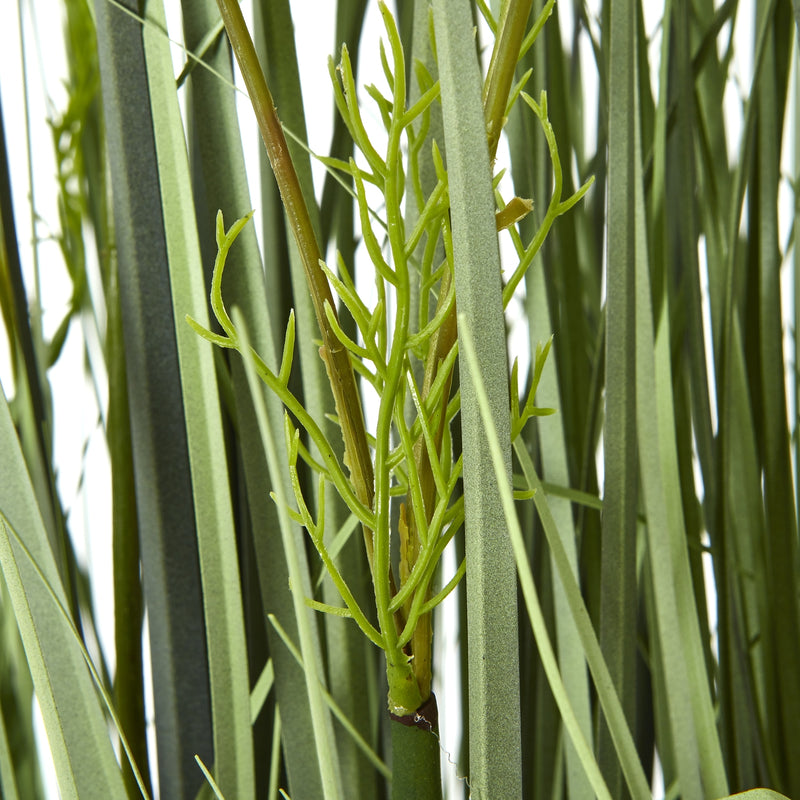 close-up of the grasses and stems