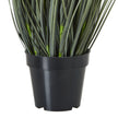 grasses rising from the black pot