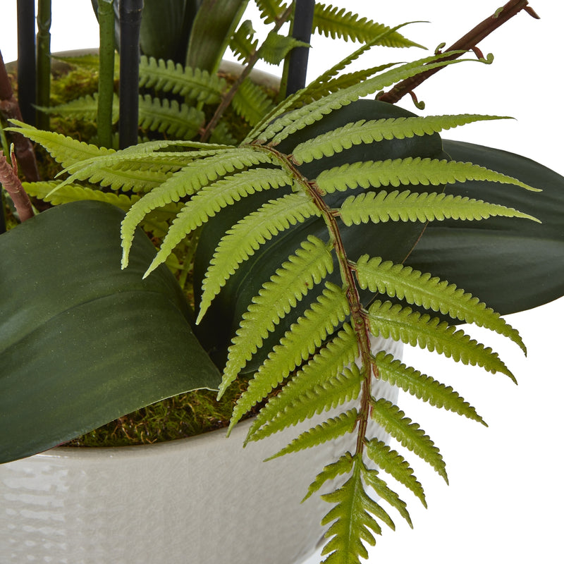 fern frond and orchid leaves at the base