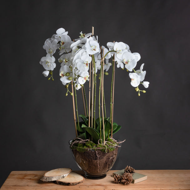 white orchid in glass pot on a wooden table