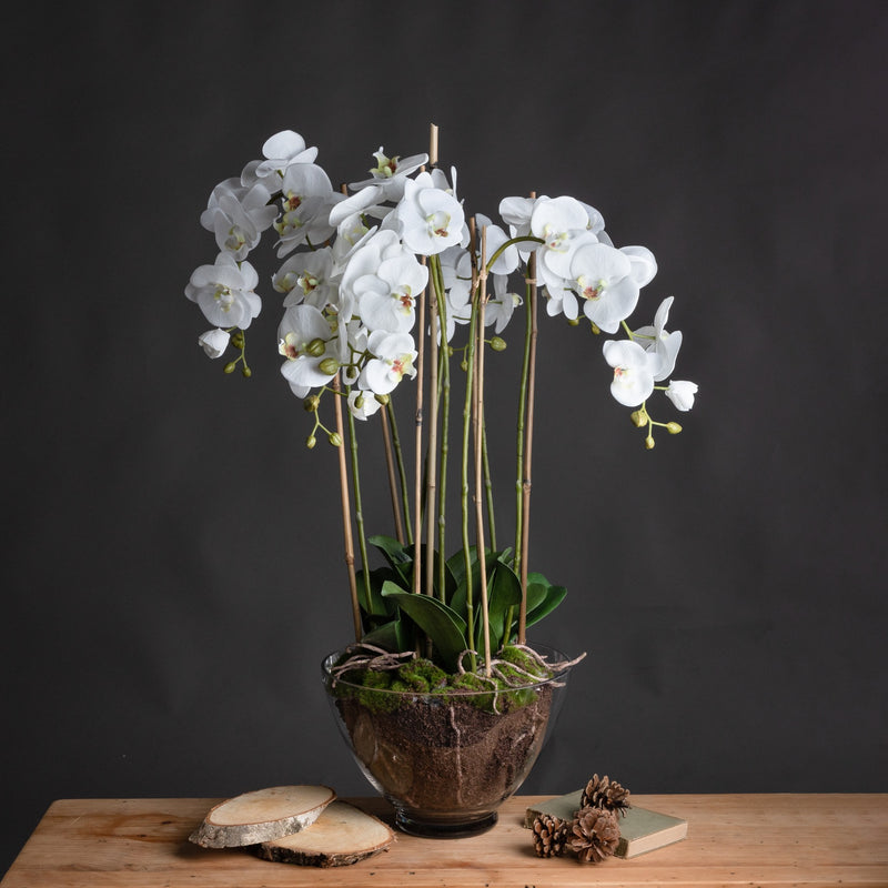 white orchid in glass pot on a wooden table