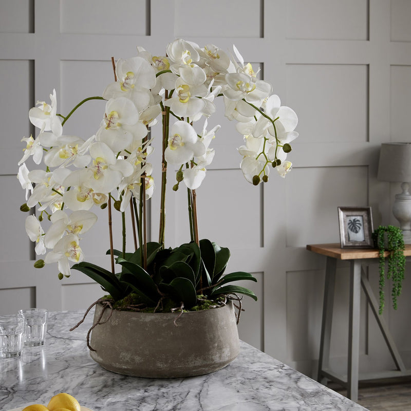 white orchid on a bed in a grey panelled room