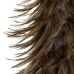 close-up of the layered fawn feathers