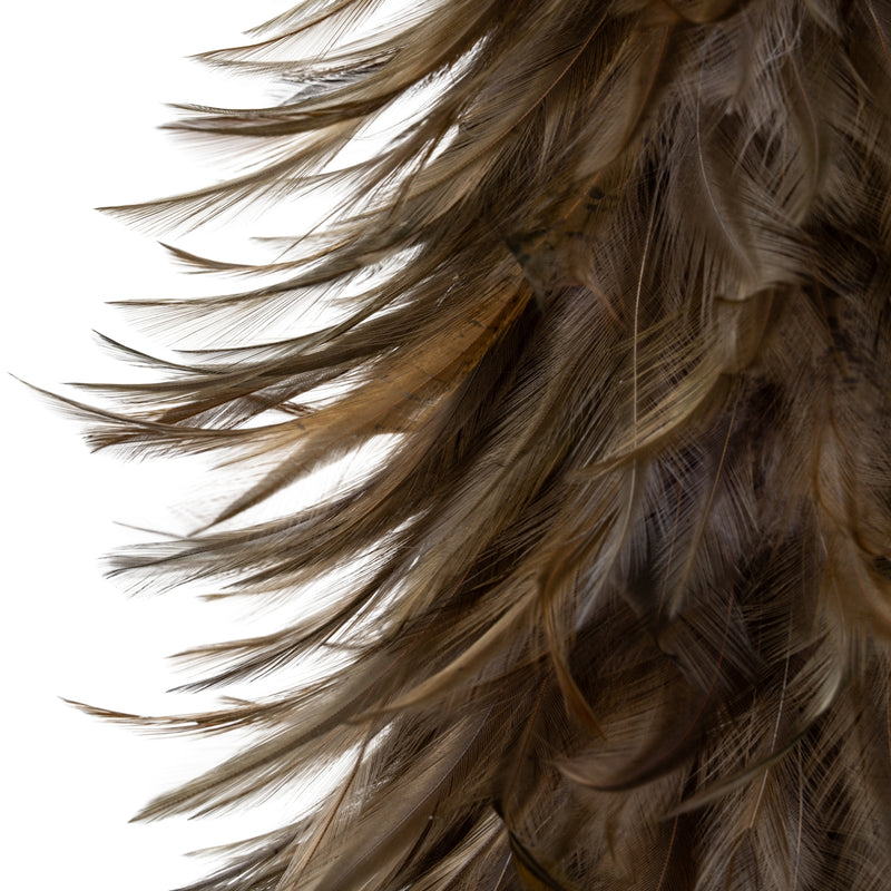 close-up of the layered fawn feathers