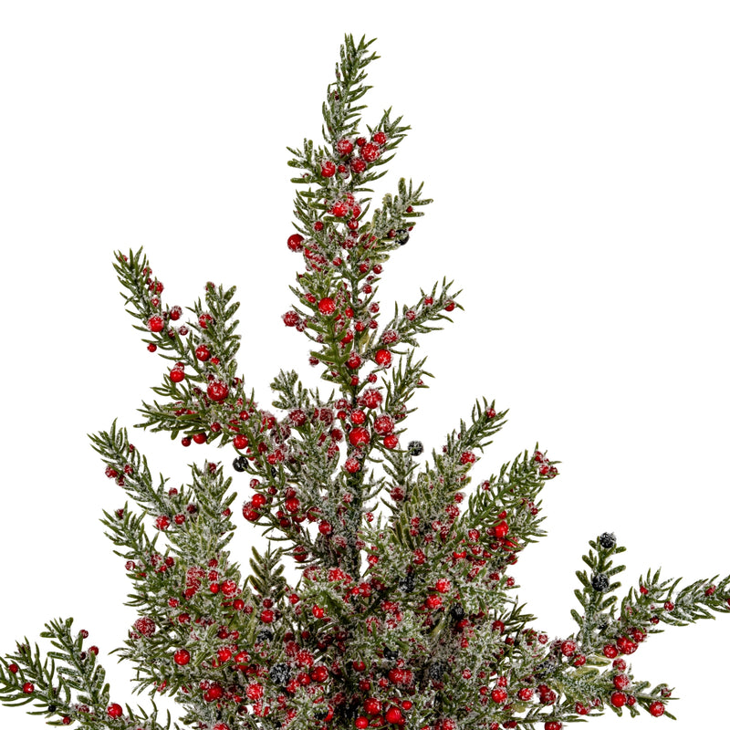 Close-up of the frosted branches and red berries