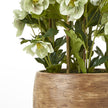 stems and the rim of the taupe pot