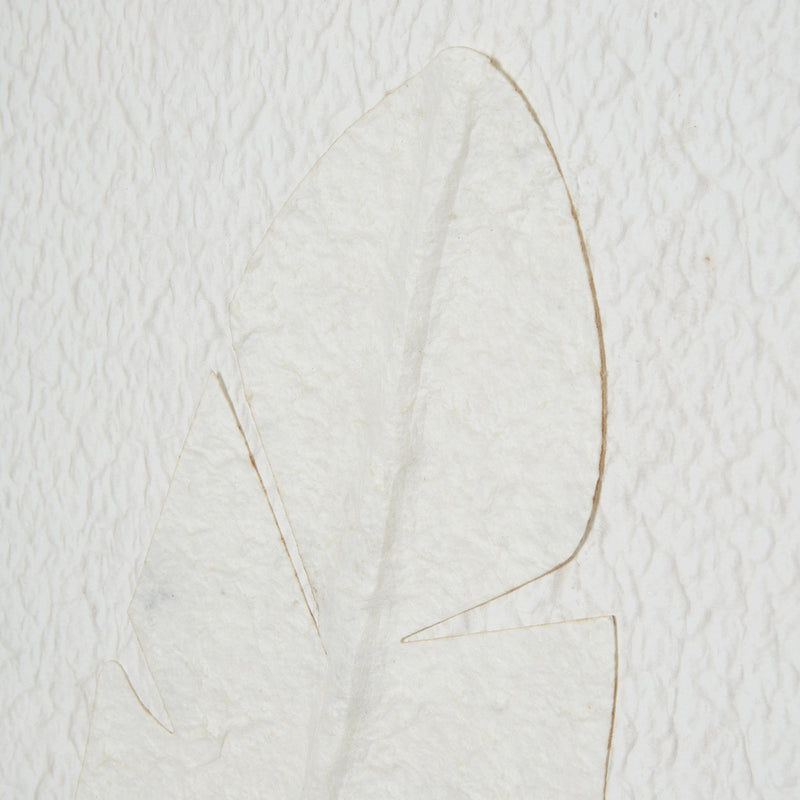Close-up of the raised white quill on textured paper
