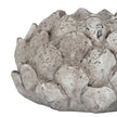 Close-up of the textured acorn scales