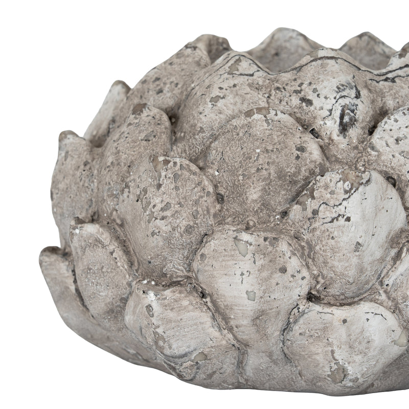 Close-up of the textured acorn scales