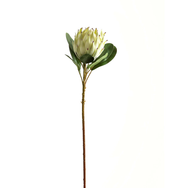 large white protea artificial stem