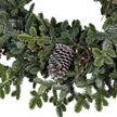 Close-up of the pine needles and pinecones