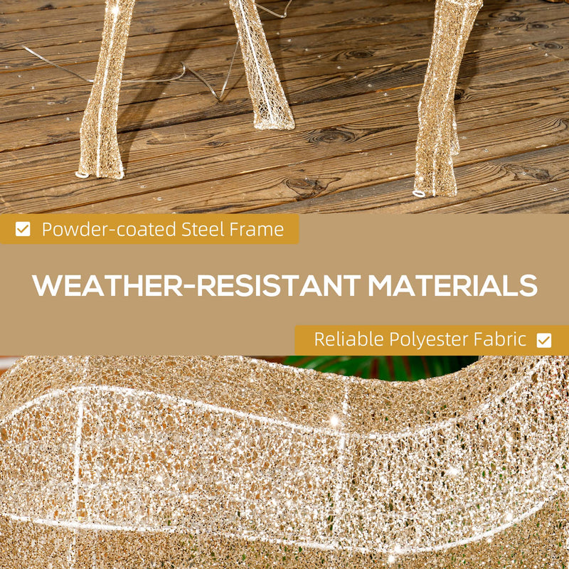 Close-up of the reindeer frame and light strands