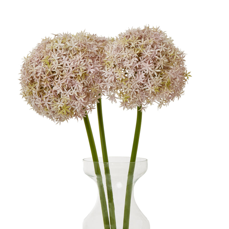 lilac allium stems in a glass vase