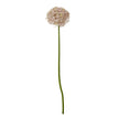 lilac giant allium artificial stem