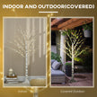 5ft Pre-Lit White Birch Tree shown indoors and in a covered outdoor area