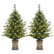 Pair of 4ft pre-lit green Christmas trees with warm white LEDs in distressed vintage pots