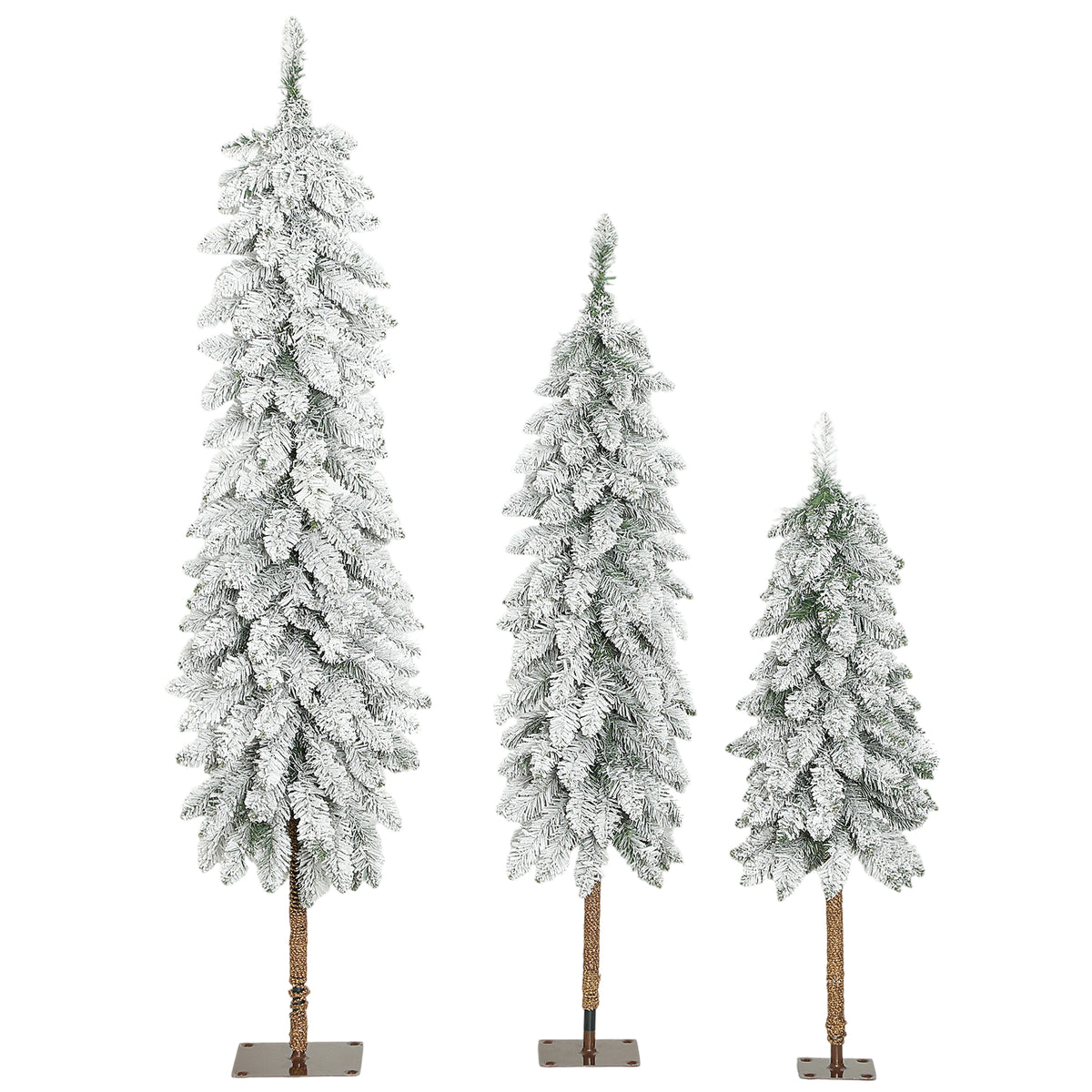 Set of three snow-flocked pencil Christmas trees in 3ft, 4ft and 5ft heights