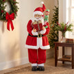 Close-up of Santa's face and beard