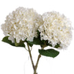 Two white hydrangea stems shown together