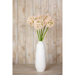 pink alliums in a tall white vase against a wooden wall