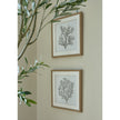Reef coral art hung above a second coral print sold separately