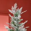 7ft snow-tipped pencil cypress tree – image 8