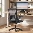 HOMCOM Office Chair, Mesh Desk Chair with Flip-up Armrests, Lumbar Support, Adjustable Height, Black – view 8