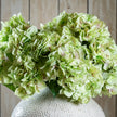 Green hydrangea bouquet in a white textured vase, vase sold separately