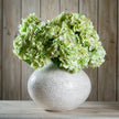 Green hydrangeas in a white vase against a wooden wall