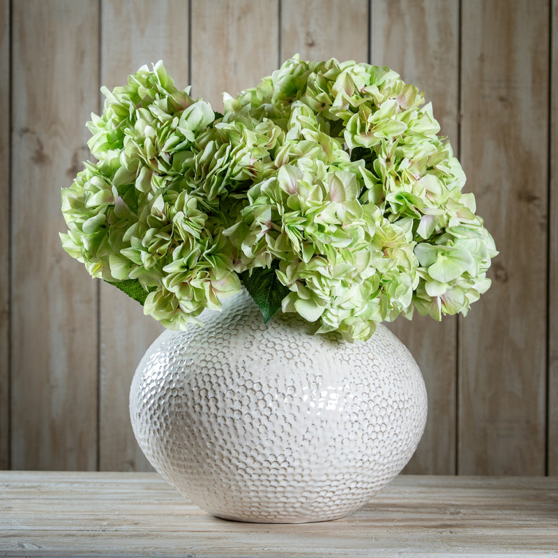 Green hydrangeas in a white vase against a wooden wall