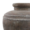Close-up of the pale shoulder bands