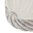 Close-up of the ridged shell exterior