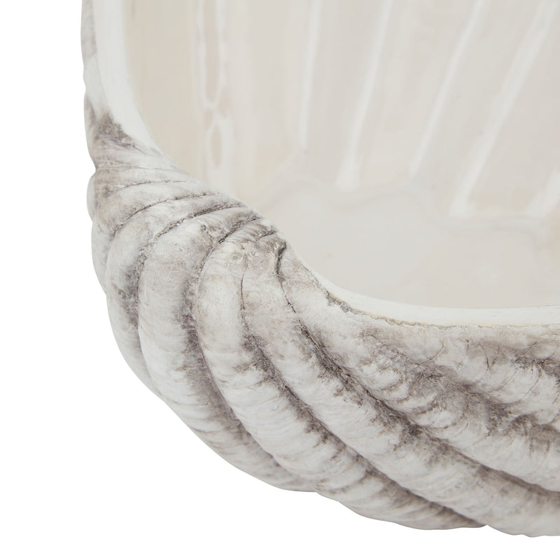Close-up of the ridged shell exterior