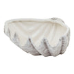 Siren medium ceramic shell bowl on white