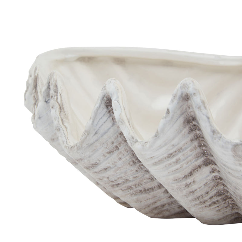 Siren shell bowl from a lower angle