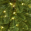 close-up of the green needles and LED lights