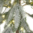 close-up of the frosted branches and LED lights