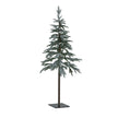 slim snowy woodland tree shown unlit