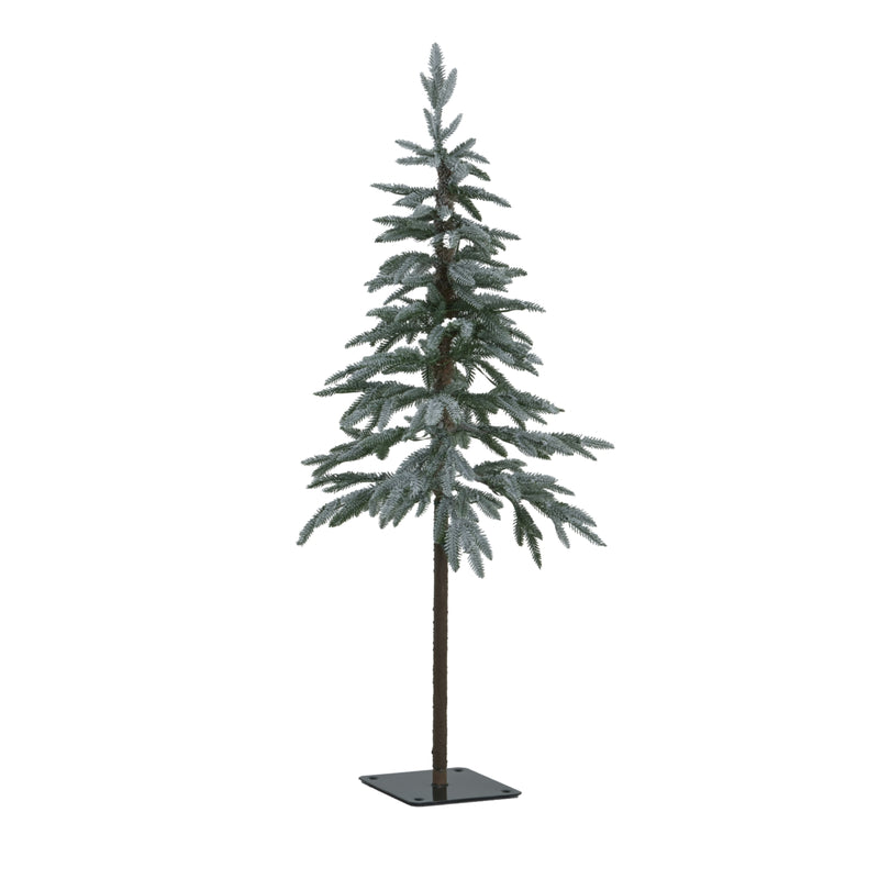 slim snowy woodland tree shown unlit