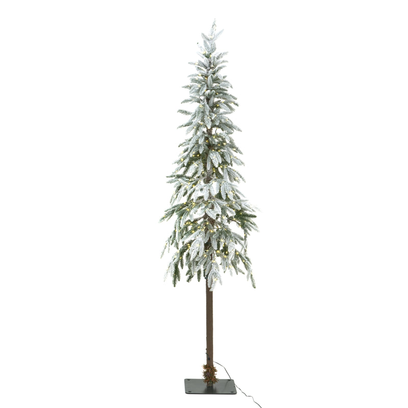 slim snowy woodland Christmas tree with lights on